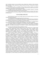 Vietos savivaldos institucijos 5 puslapis