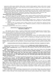 Vykdomosios valdžios samprata 2 puslapis