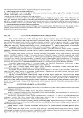 Vykdomosios valdžios samprata 11 puslapis