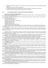 Vykdomosios valdžios samprata 13 puslapis