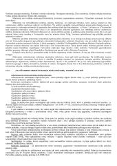 Vykdomosios valdžios samprata 17 puslapis