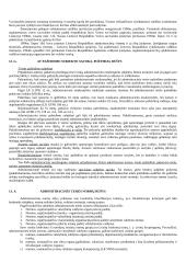 Vykdomosios valdžios samprata 19 puslapis