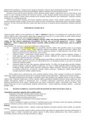 Vykdomosios valdžios samprata 3 puslapis