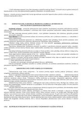 Vykdomosios valdžios samprata 4 puslapis