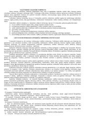 Vykdomosios valdžios samprata 6 puslapis