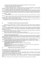 Vykdomosios valdžios samprata 10 puslapis