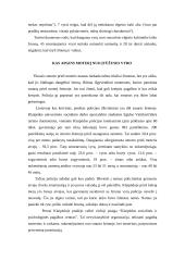 Smurtas šeimoje (elgsenos analizė) 4 puslapis