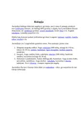 Australija - aukštyn kojom 9 puslapis