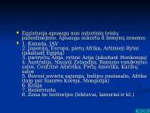 Piratavimo reikšmė 3 puslapis