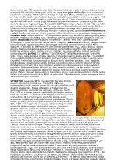 Italija - parlamentinė respublika 4 puslapis