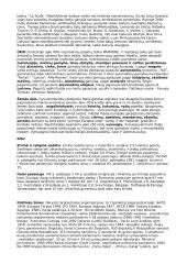 Italija - parlamentinė respublika 5 puslapis