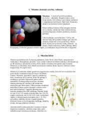 Nikotinas 2 3 puslapis