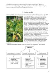 Nikotinas 2 4 puslapis