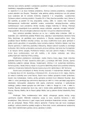 Pilietinis karas JAV 2 puslapis