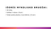 Juozo Tumo-Vaizganto veikėjo Mykoliuko paveikslas 2 puslapis