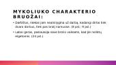 Juozo Tumo-Vaizganto veikėjo Mykoliuko paveikslas 3 puslapis