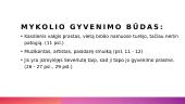 Juozo Tumo-Vaizganto veikėjo Mykoliuko paveikslas 4 puslapis