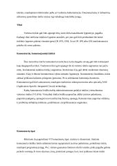 Kompiuteriniai tinklai 3 16 puslapis