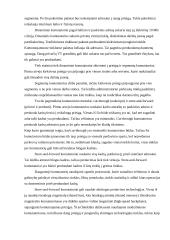 Kompiuteriniai tinklai 3 17 puslapis