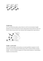Kompiuteriniai tinklai 3 7 puslapis