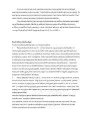 Kompiuteriniai tinklai 3 9 puslapis