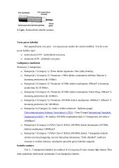 Kompiuteriniai tinklai 3 10 puslapis