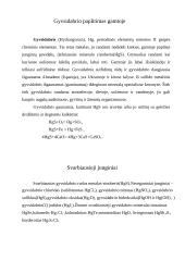 Metalai aplink mus: GYVSIDABRIS  2 puslapis