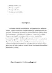 Metalai aplink mus: GYVSIDABRIS  4 puslapis