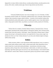 Profesinių ligų profilaktika 4 puslapis