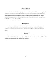 Profesinių ligų profilaktika 5 puslapis