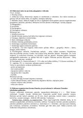 Pedagogika-ugdymo mokslas ir menas. 17 puslapis