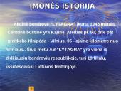 N įmonės pristatymas 2 puslapis