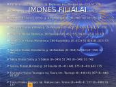 N įmonės pristatymas 7 puslapis