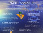 N įmonės pristatymas 8 puslapis