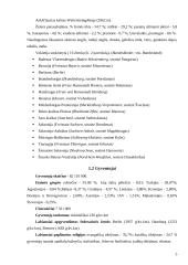 Kelionė į Vokietiją 5 puslapis