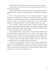 Kelionė į Vokietiją 8 puslapis