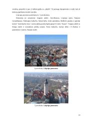 Kelionė į Vokietiją 10 puslapis