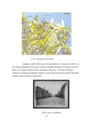 Naujoji Zelandija. Aucklandas 12 puslapis