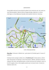 Naujoji Zelandija. Aucklandas 15 puslapis