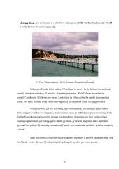 Naujoji Zelandija. Aucklandas 19 puslapis