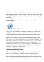 Naujoji Zelandija. Aucklandas 10 puslapis