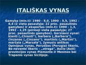 Italija. Skaidrės. 16 puslapis