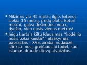 Piramidės 20 puslapis