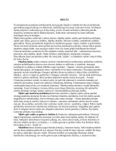 Lietuvių liaudies mįslės