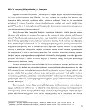 Piliečių įstatymų leidybos iniciatyvos teisė 15 puslapis