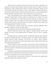 Piliečių įstatymų leidybos iniciatyvos teisė 17 puslapis