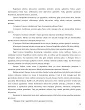 Piliečių įstatymų leidybos iniciatyvos teisė 19 puslapis