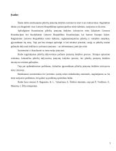 Piliečių įstatymų leidybos iniciatyvos teisė 3 puslapis