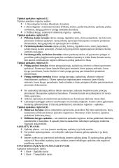 Apskaitos procesas ir proceso organizavimas 2 puslapis