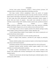 Trijų etikos problemų sprendimas 7 puslapis